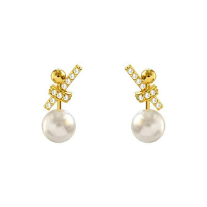 Boucles D’oreilles Perles et Zircon Boucles d'Oreilles Clous
