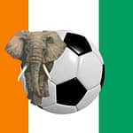 Les dix footballeurs ivoiriens les plus titrés