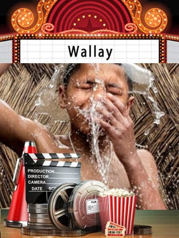 Sortie cinéma Wallay